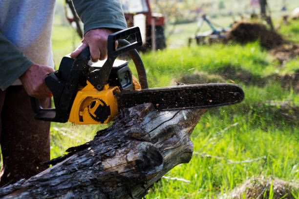 Best Weed Control  in Port Ludlow, WA